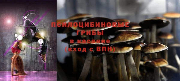 спайс Богданович