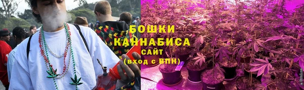 кокс Богородицк