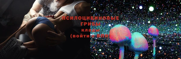 кокс Богородицк