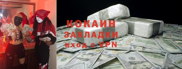 кокс Богородицк