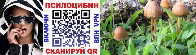 Галлюциногенные грибы мицелий  Дигора 